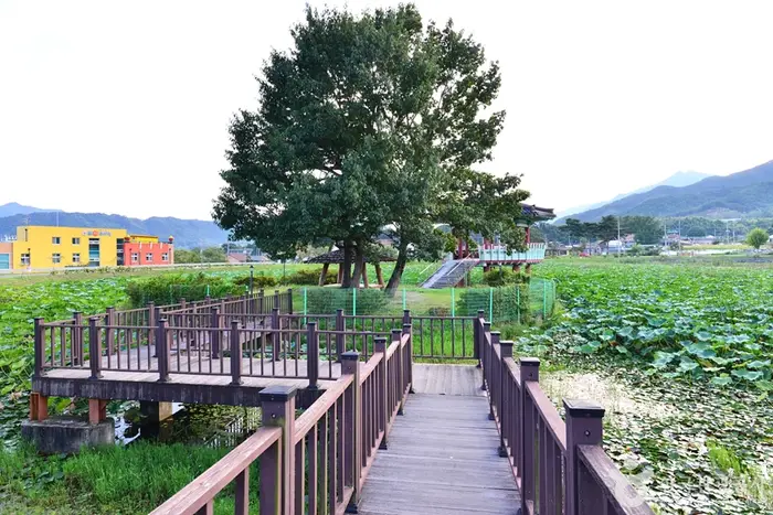 죽동제 · 관광지
