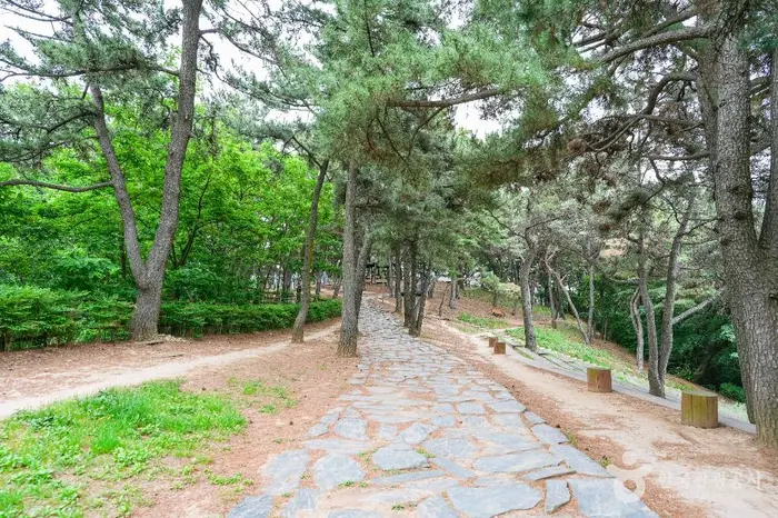 장무공원 · 관광지