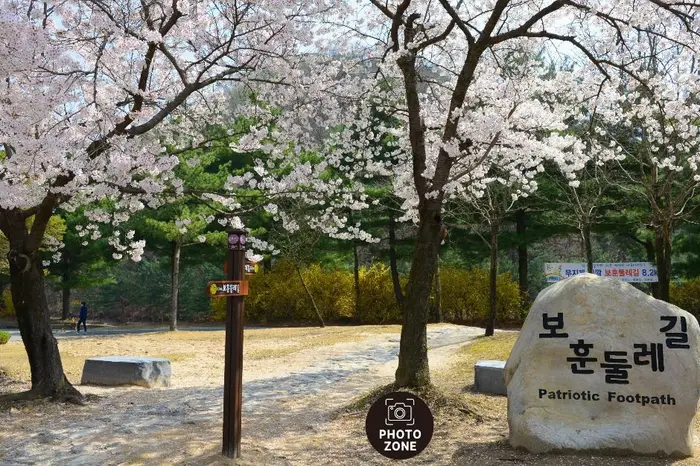 국립대전현충원 보훈둘레길 · 관광지