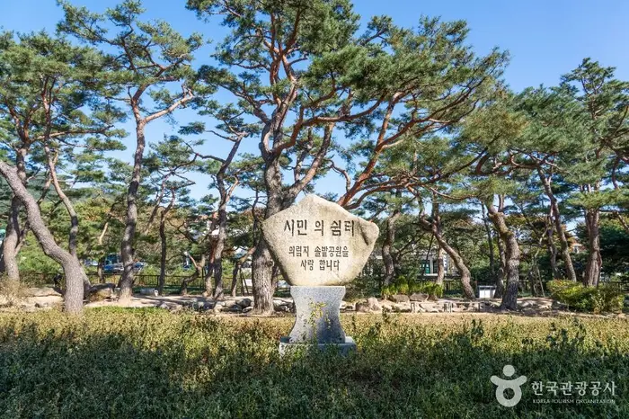 의림지 솔밭공원 · 관광지