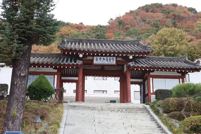 춘천세종호텔 · 숙박