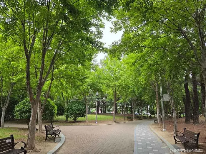 문화공원(울산) · 관광지