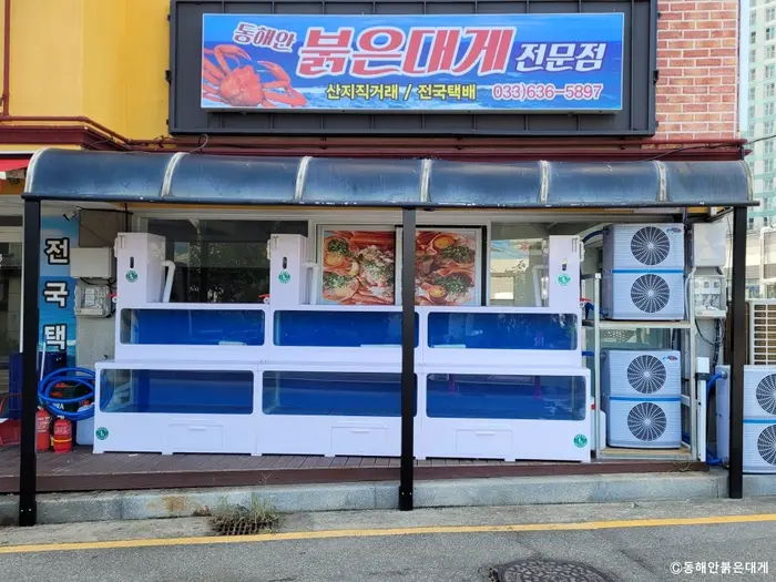 동해안붉은대게 · 음식점