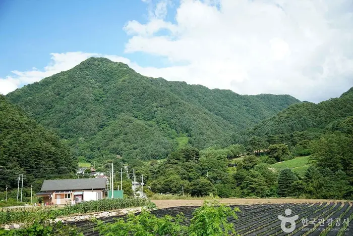목우산 · 관광지