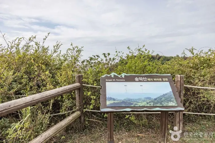 송악산전망대 · 관광지