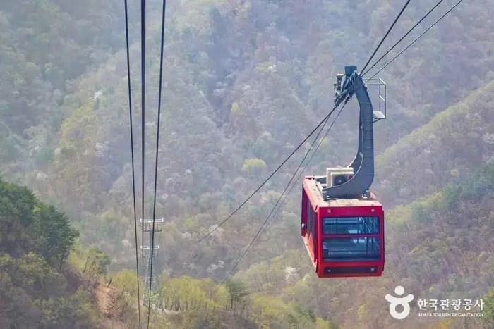백암산케이블카 · 관광지