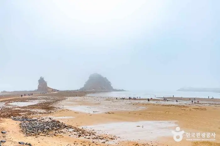 꽃지해수욕장 · 관광지