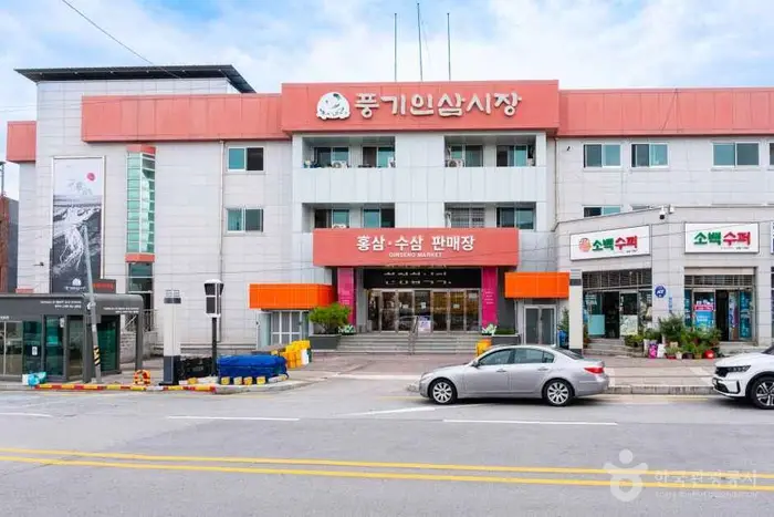 풍기인삼시장 · 쇼핑