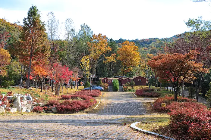입화산참살이숲제2오토캠핑장 · 레포츠