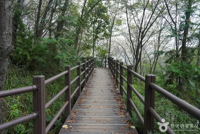 계양산 · 관광지