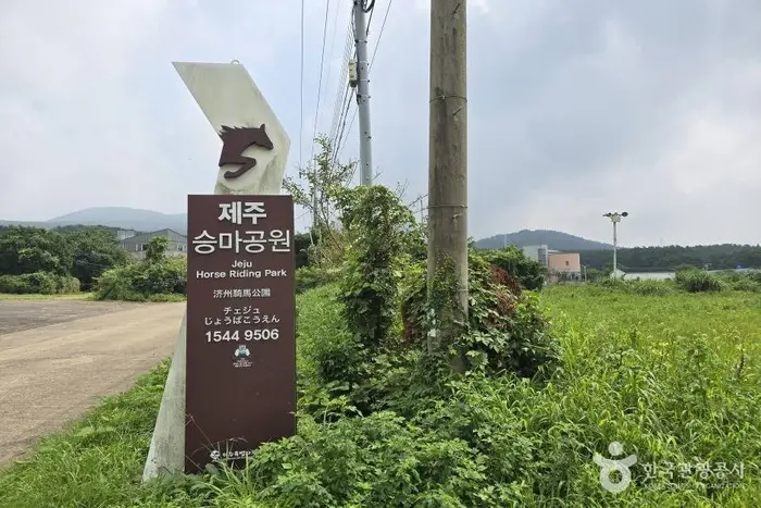 제주승마공원 · 레포츠