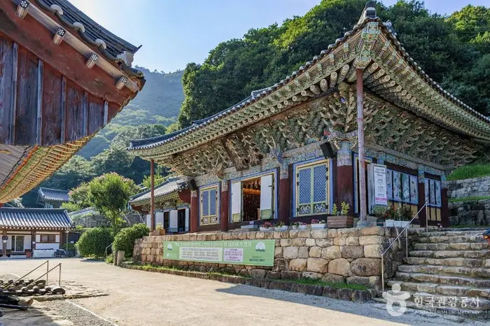백련사(강진) · 관광지
