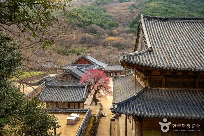 화엄사 · 관광지