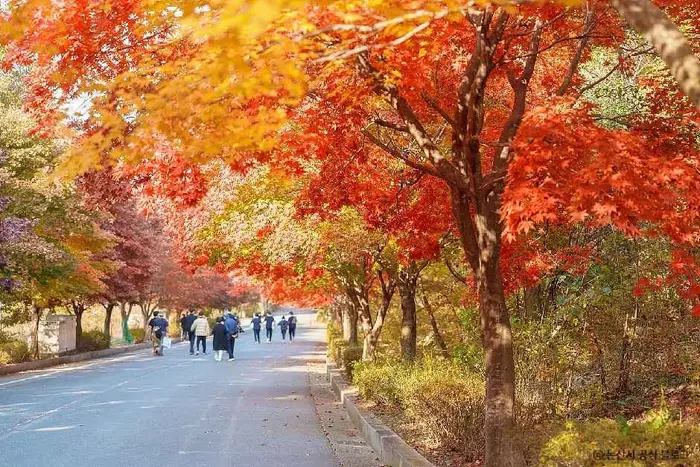 대둔산도립공원(논산) · 관광지