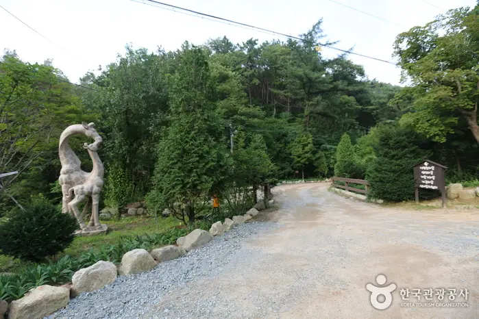 횡성자연휴양림 · 관광지