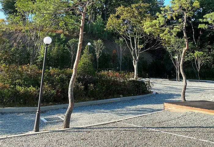 솔잎향캠핑파크 · 레포츠