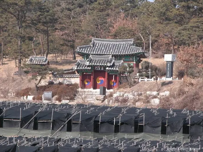 황무진충효사 · 관광지