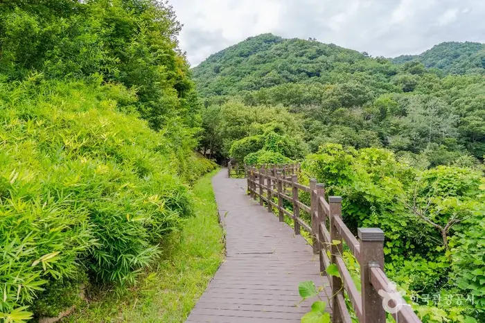 옥성자연휴양림 · 관광지