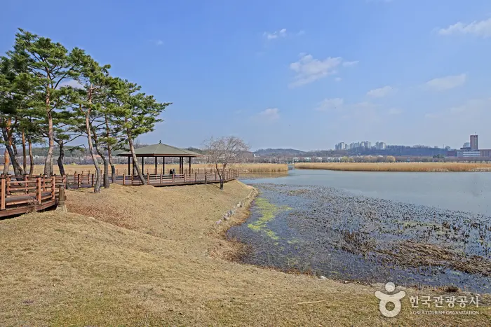 화랑유원지 · 관광지