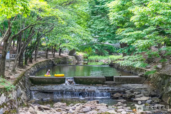 고산자연휴양림 · 관광지