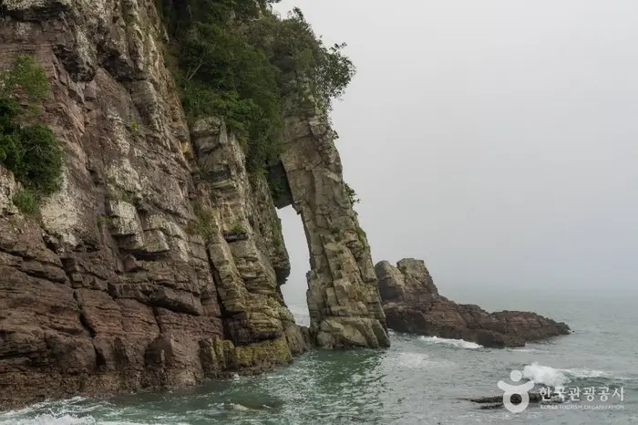 남일대 코끼리 바위 · 관광지
