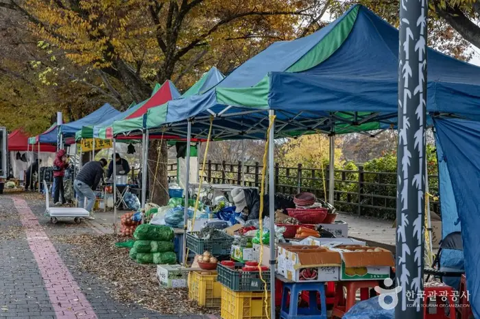 담양시장 · 쇼핑