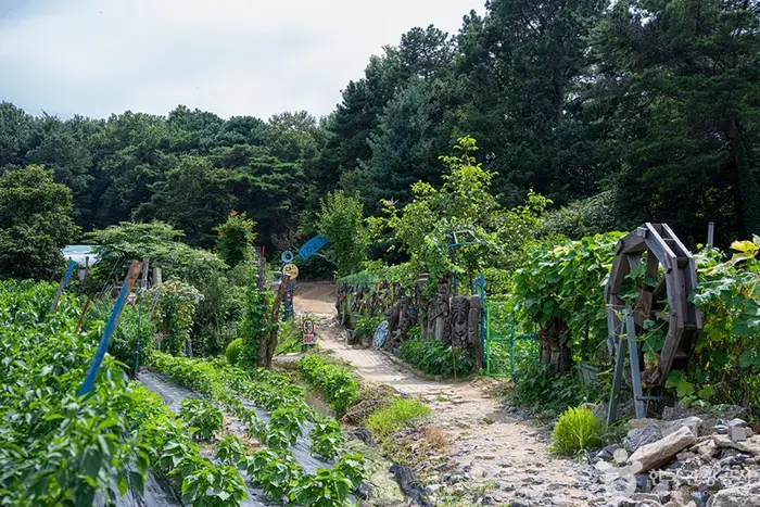 서봉산산림욕장 · 관광지