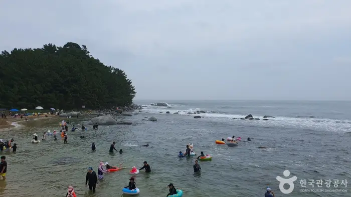 마차진해변 · 관광지