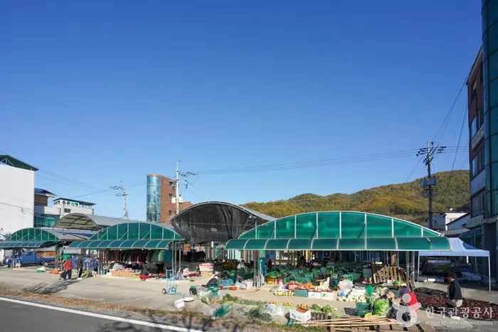 진주 문산장 (4, 9일) · 쇼핑