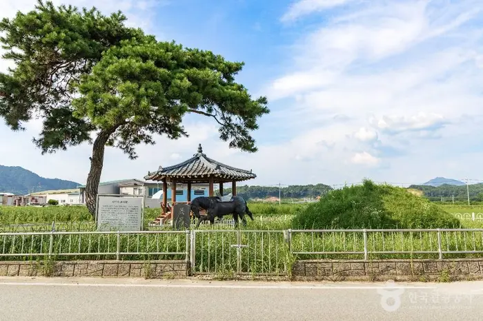 의마총 · 관광지