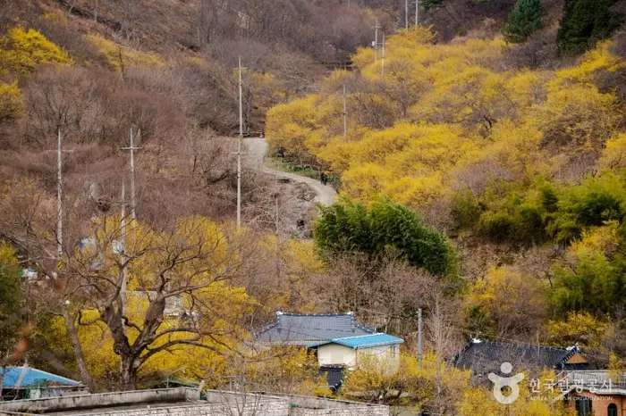 현천마을 · 관광지
