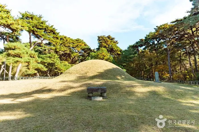 경주 지마왕릉 · 관광지
