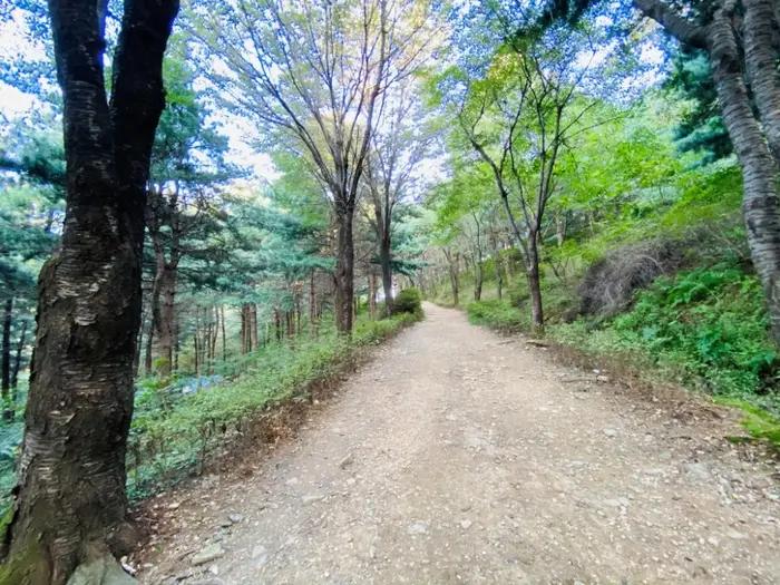 독산성산림욕장 · 관광지