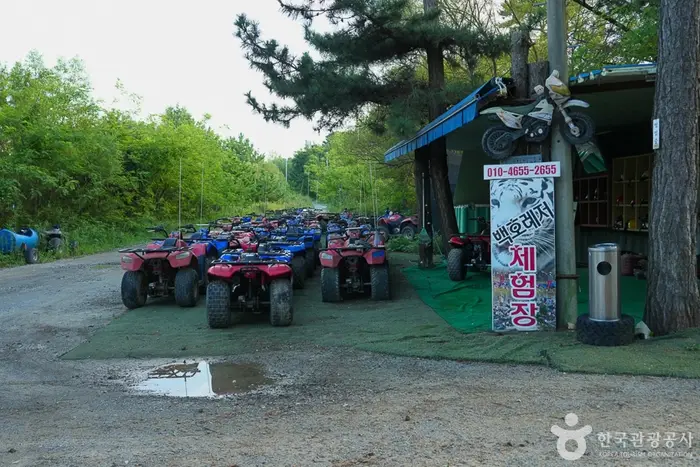 백호레져체험장 · 레포츠