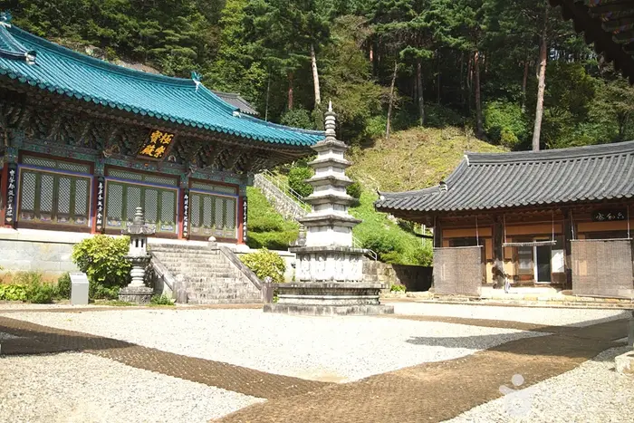 천은사(삼척) · 관광지