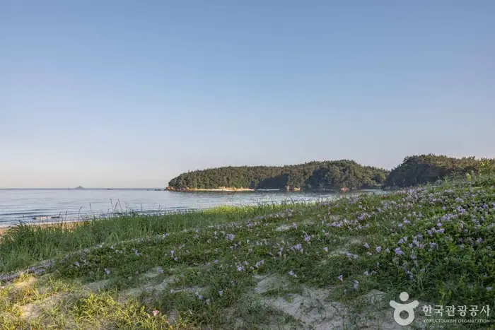장삼포해수욕장 · 관광지