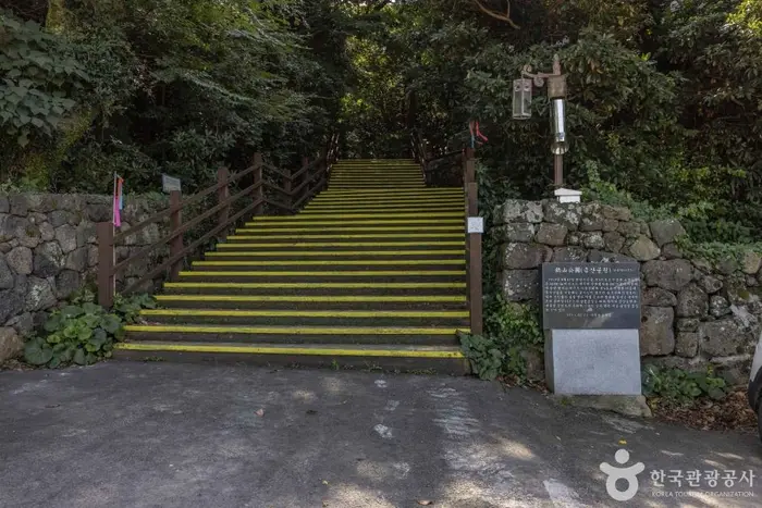 금산공원(납읍난대림지대) · 관광지