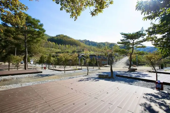 오도치캠핑장 · 레포츠