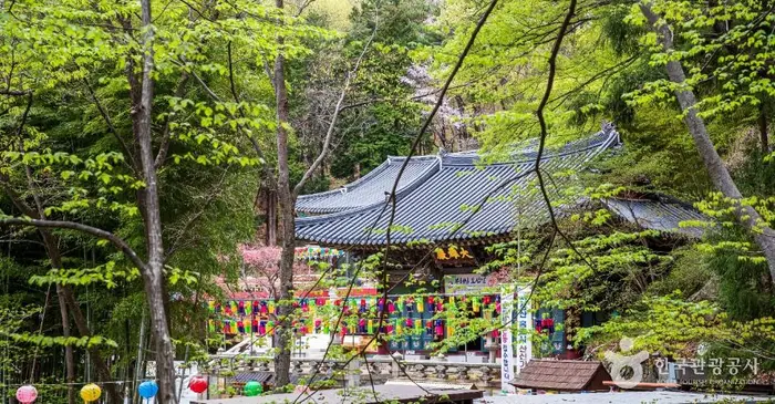 홍룡사(양산) · 관광지