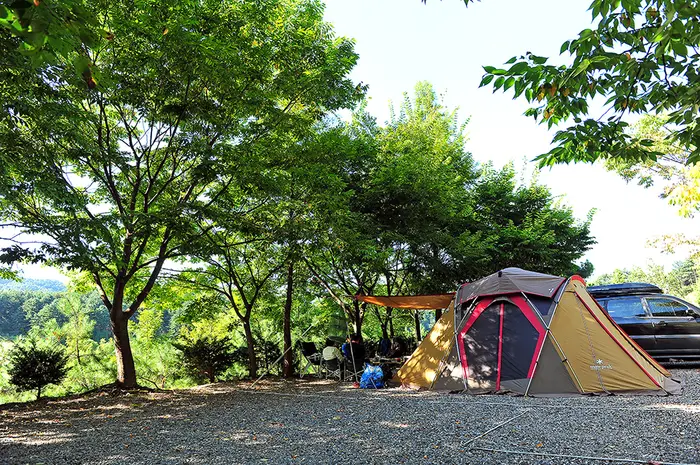 금동산야 · 레포츠