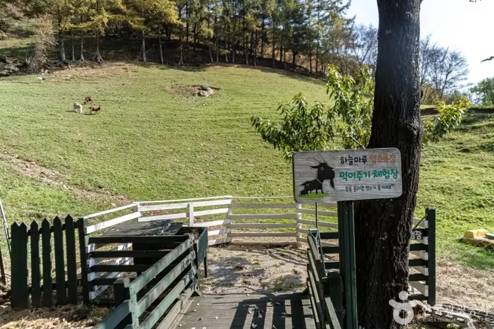 하늘마루염소목장 · 관광지