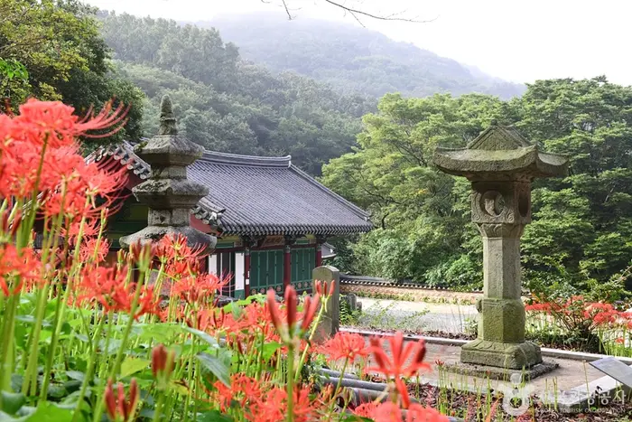 용천사(함평) · 관광지