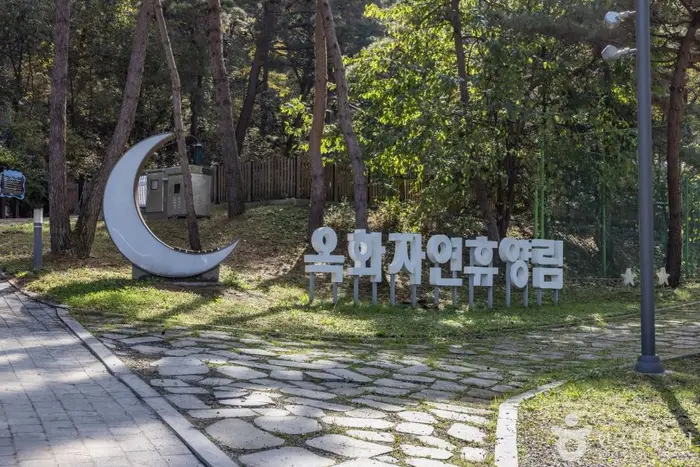 옥화자연휴양림 · 관광지