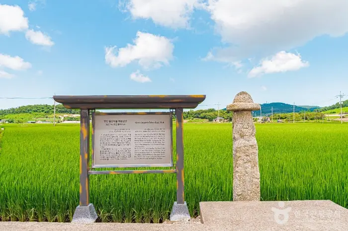 무안발산마을미륵당산 · 관광지