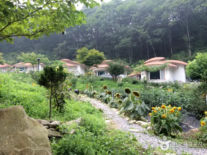 물안골스머프펜션 · 숙박