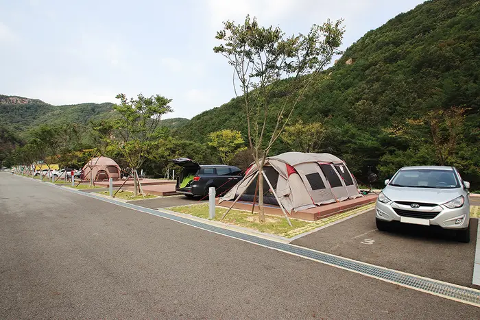 산꽃벚꽃마을오토캠핑장 · 레포츠