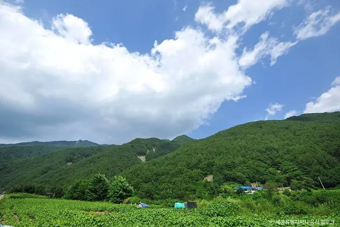 백석봉(정선) · 관광지