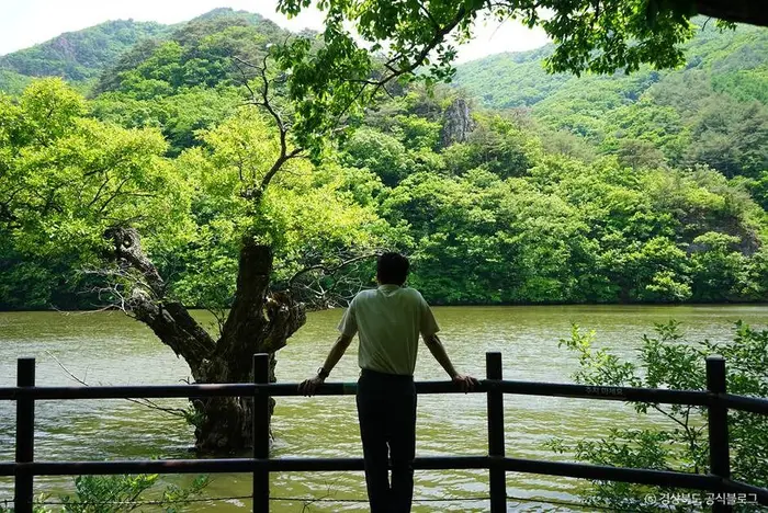 주산지(청송 국가지질공원) · 관광지