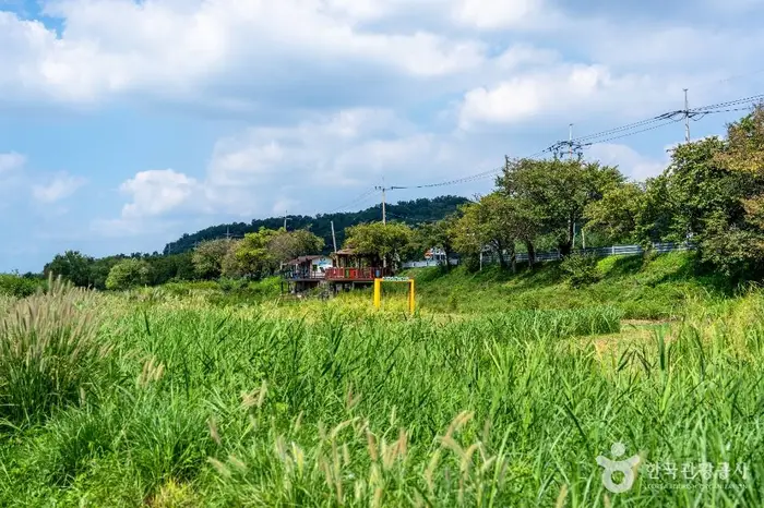 탄천민물고기습지생태원 · 관광지