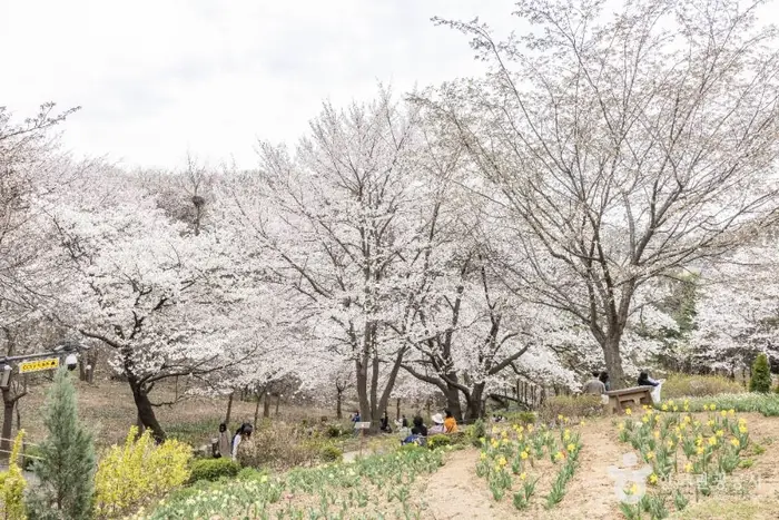 연희숲속쉼터 · 관광지